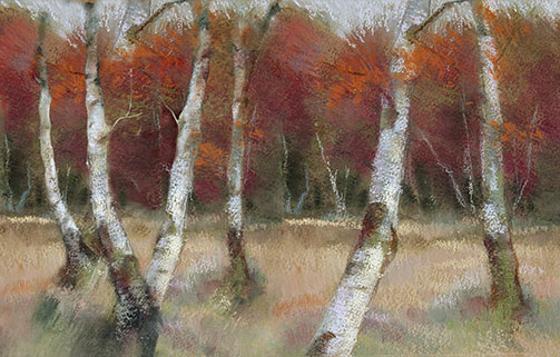 birch trees pastel